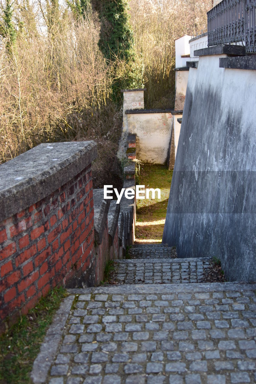 FOOTPATH BY RETAINING WALL BY TREES