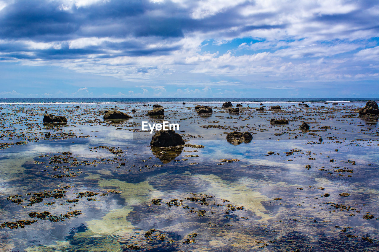 SCENIC VIEW OF BEACH