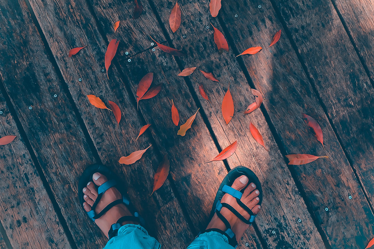 Low section of person by leaves on boardwalk