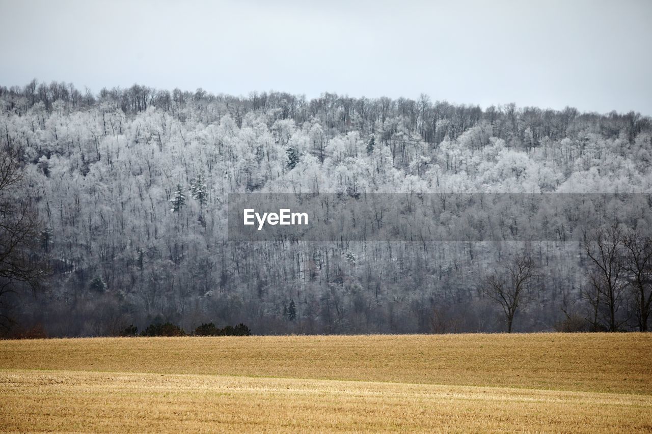 Scenic view of field against sky during winter