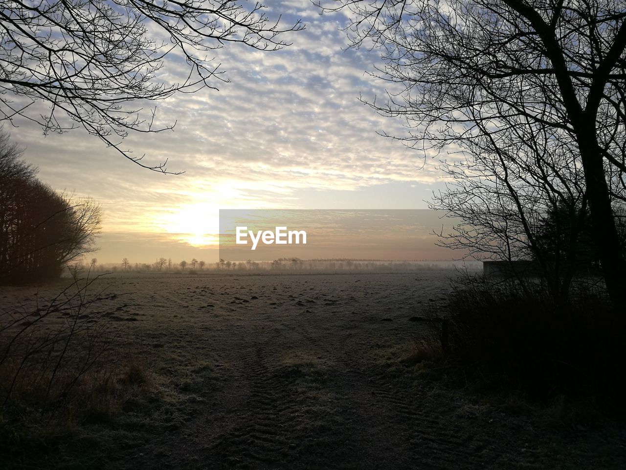 SCENIC VIEW OF FIELD DURING SUNSET