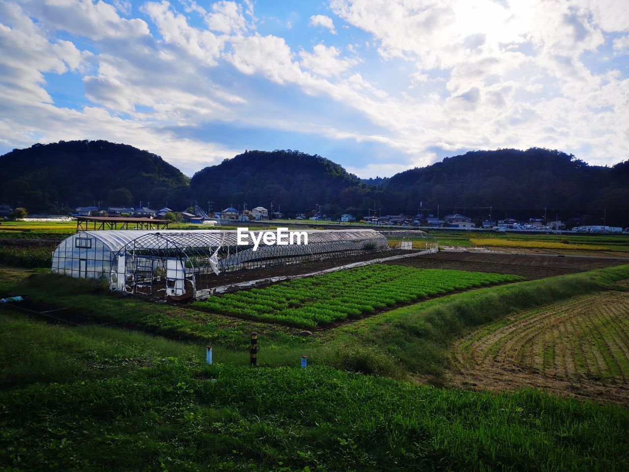 SCENIC VIEW OF FARMS AGAINST SKY