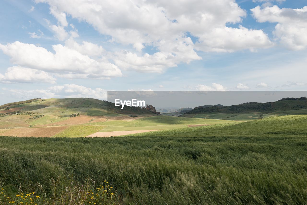 SCENIC VIEW OF FARM AGAINST SKY