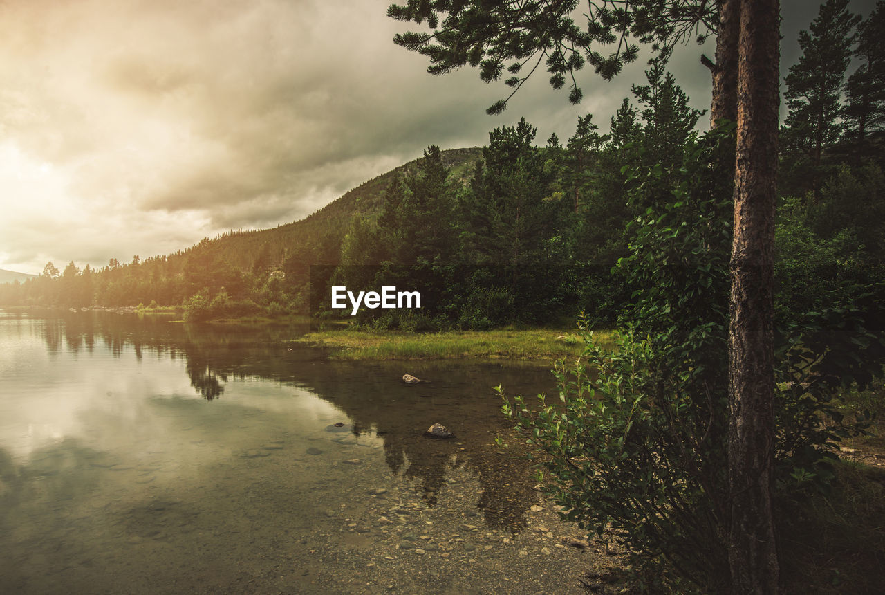 SCENIC VIEW OF LAKE AGAINST SKY