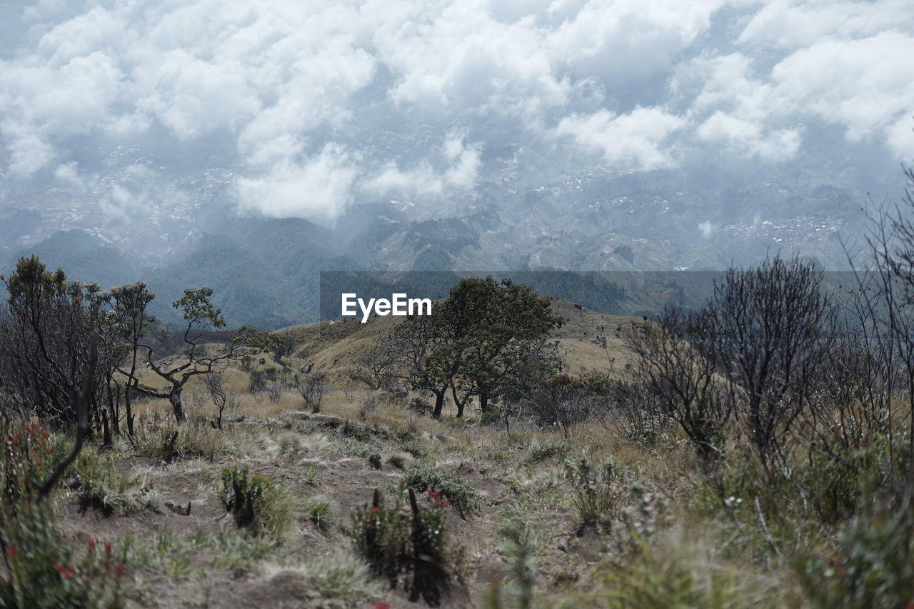 Scenic view of landscape against sky in top of view mount sumbing, central java indonesia