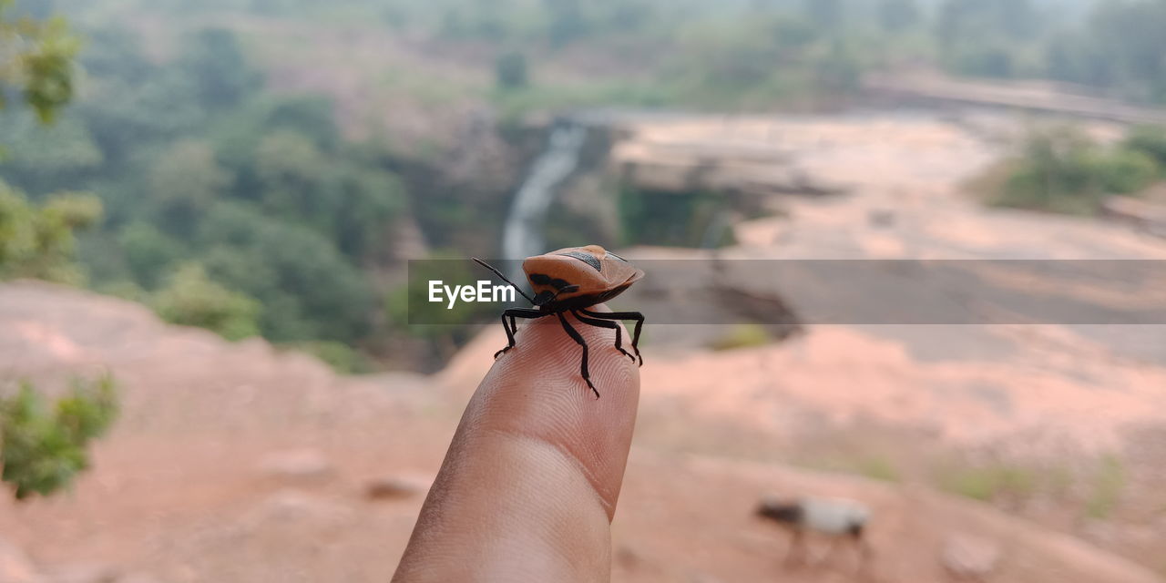 CROPPED IMAGE OF PERSON HOLDING STICK