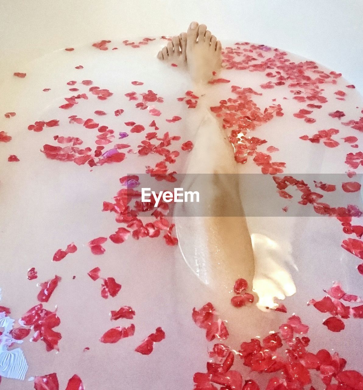 Low section of woman in bathtub with rose petals