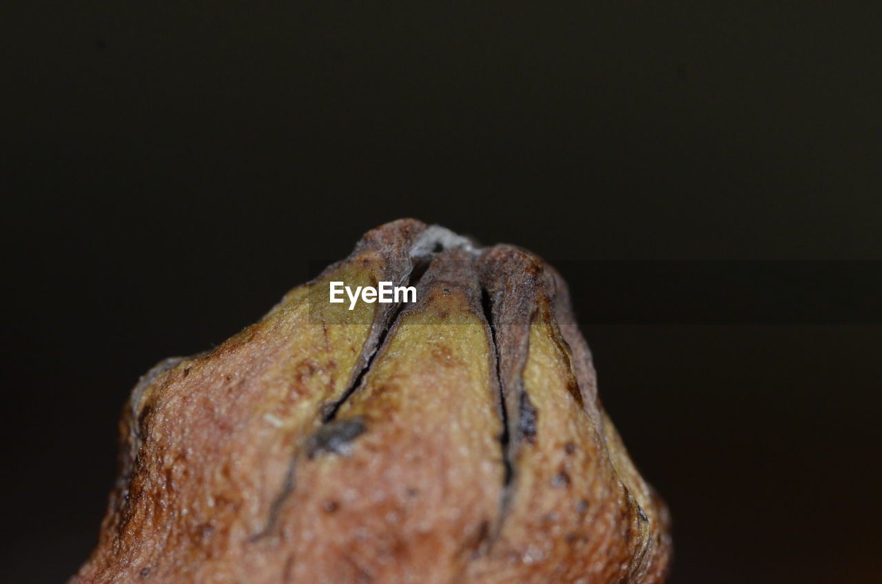 Close-up of dry pomegranate over black background