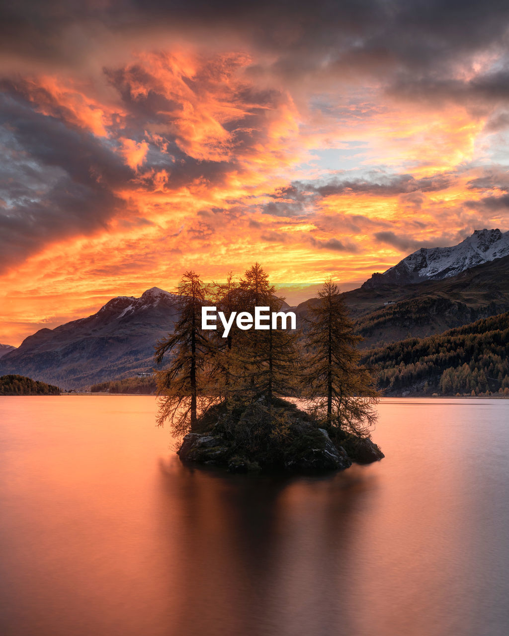 Tree in lake against orange sky