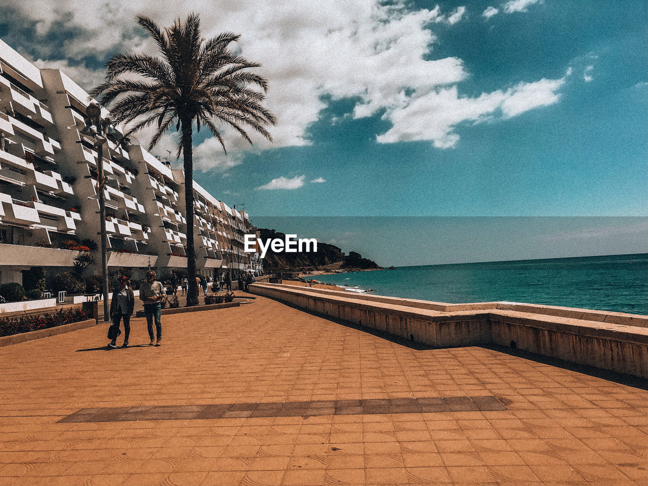 SCENIC VIEW OF PALM TREES ON BEACH