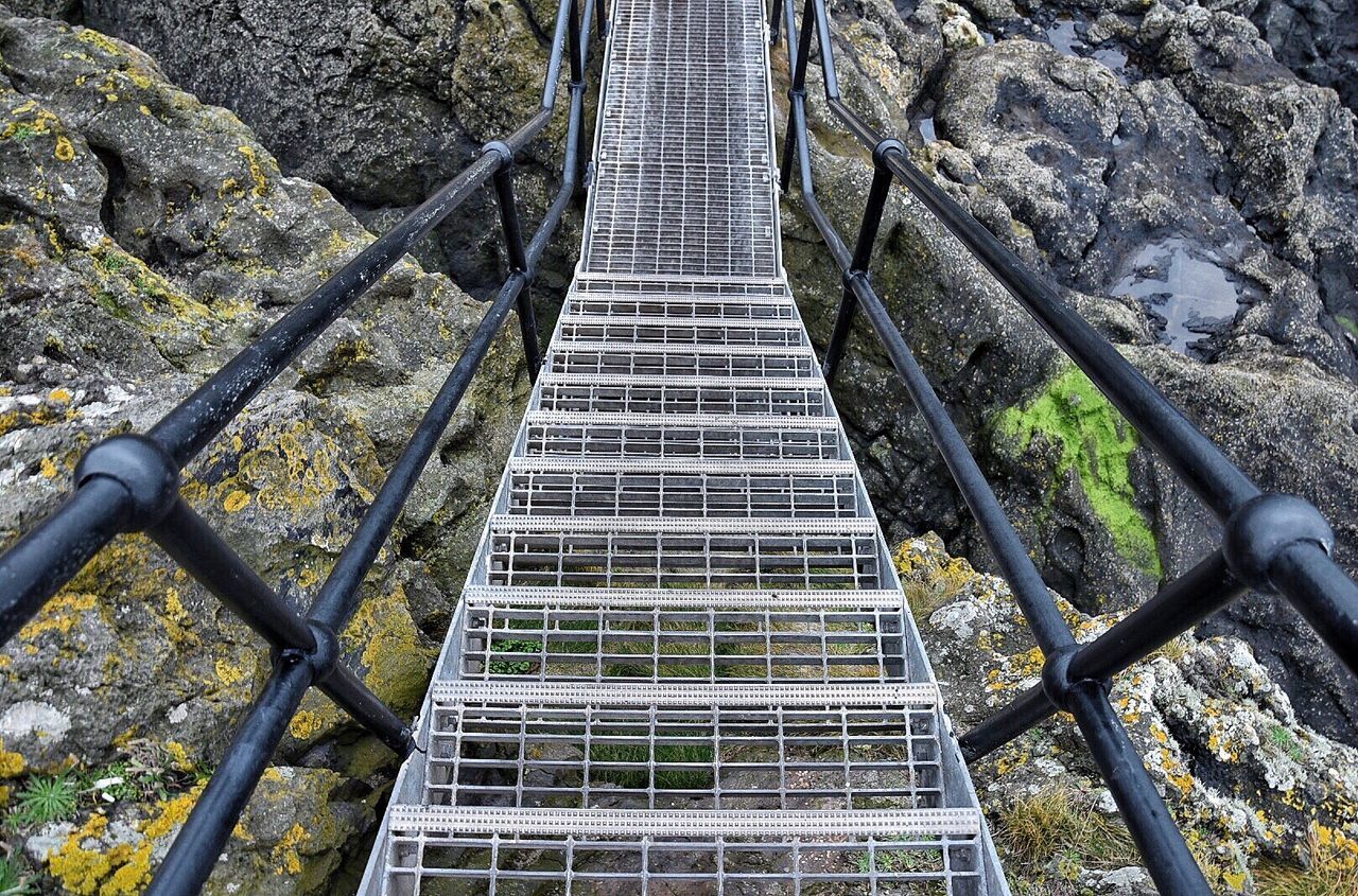 HIGH ANGLE VIEW OF STEPS AMIDST TREES