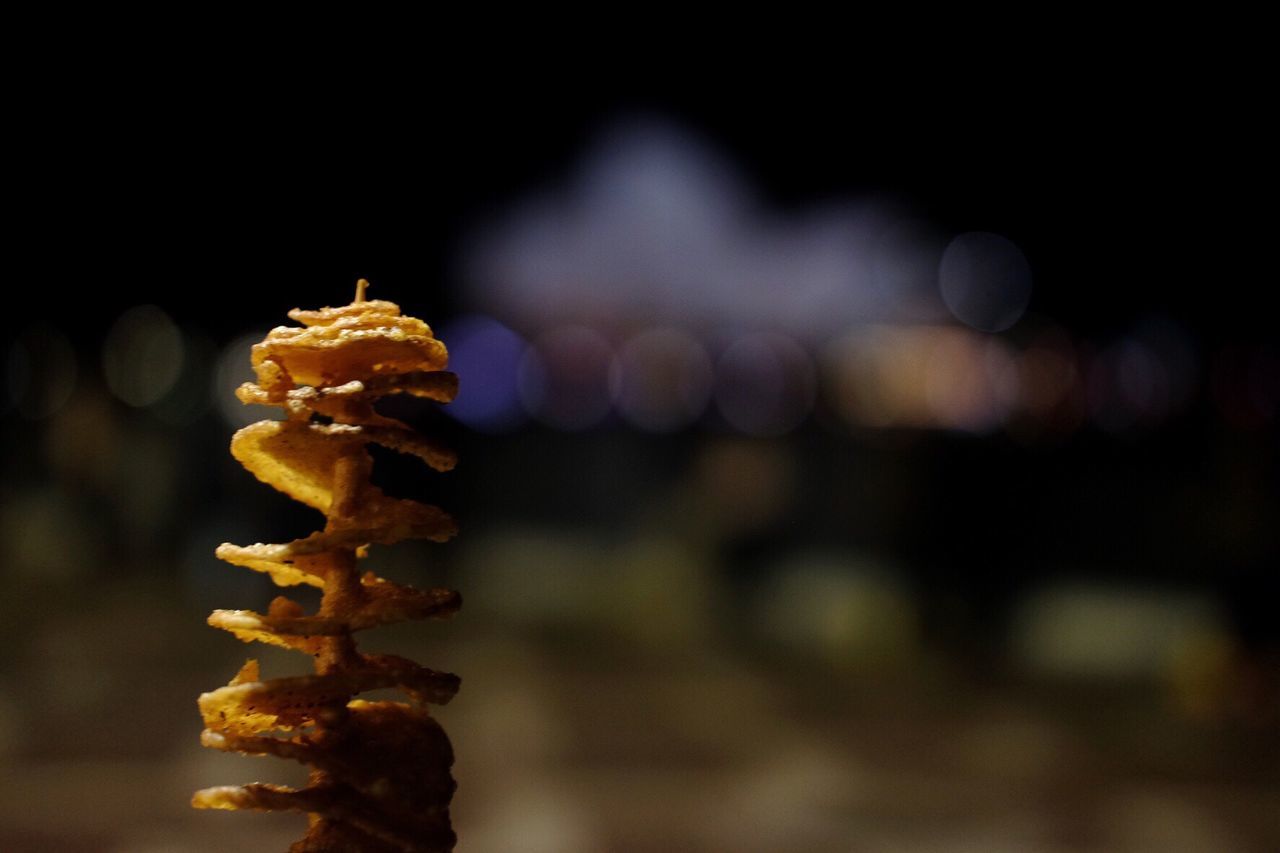 Close-up of snack at night