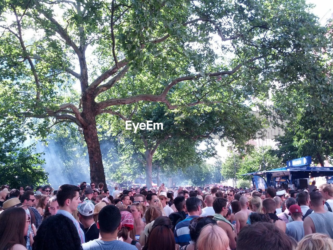 Crowd of people below tree canopy