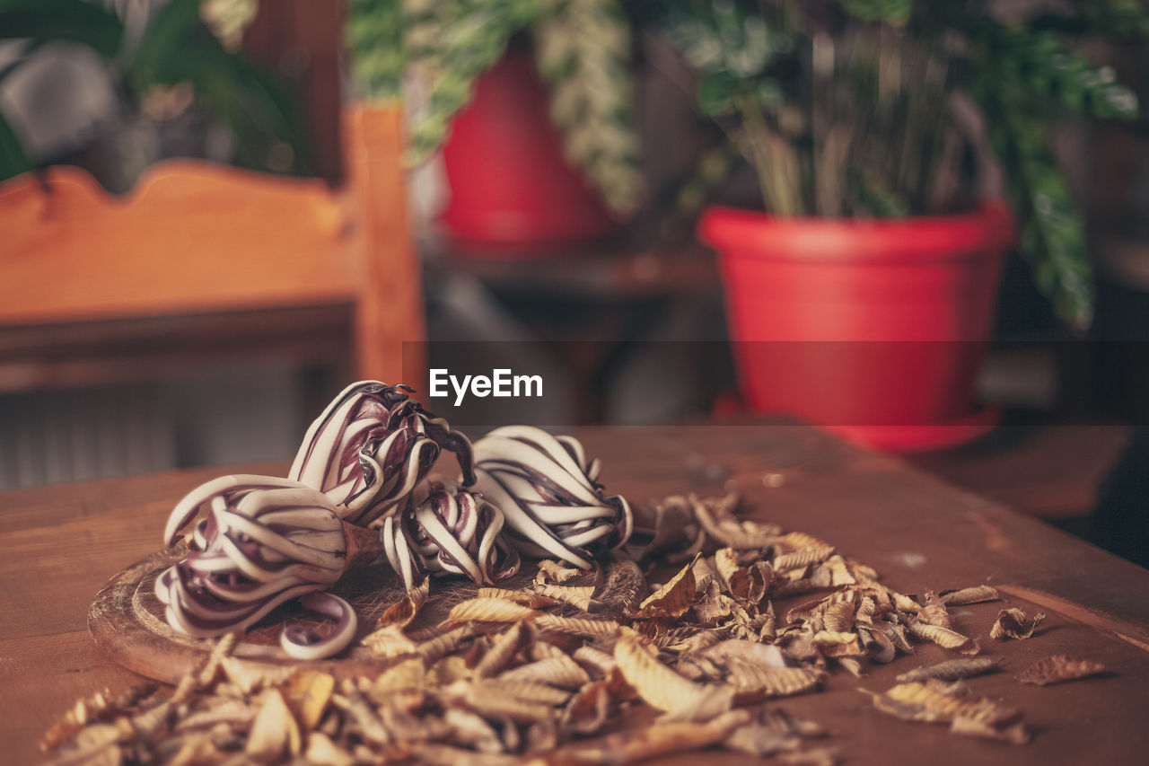 Red radicchio on wooden table. green plants background