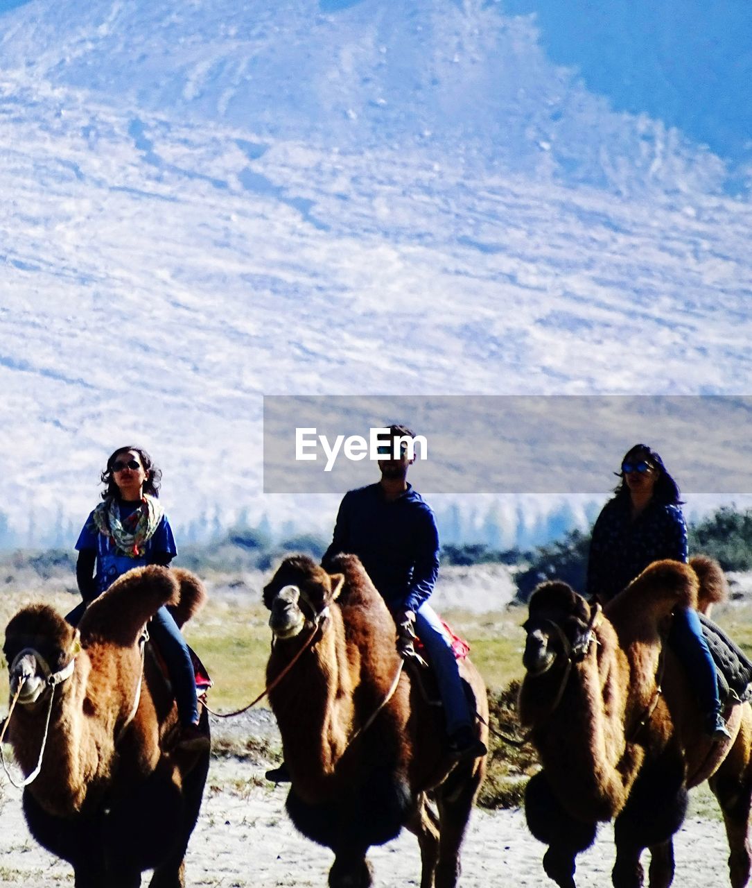 Group of people riding on double humped camels in a cold desert