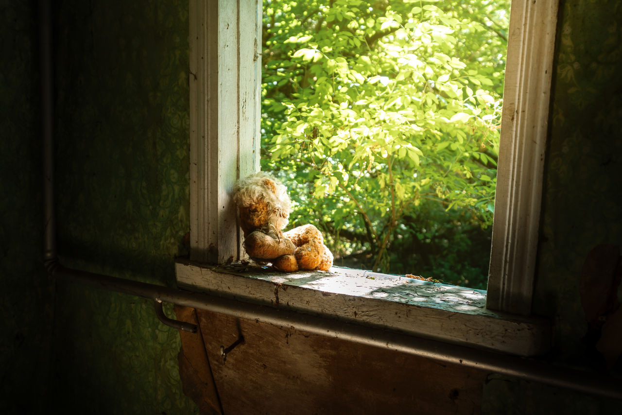 close-up of stuffed toy on window