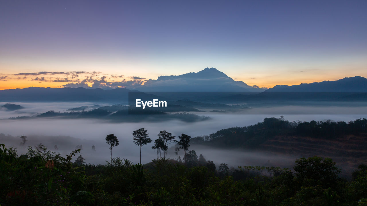 SCENIC VIEW OF TREE MOUNTAINS AGAINST SKY DURING SUNSET