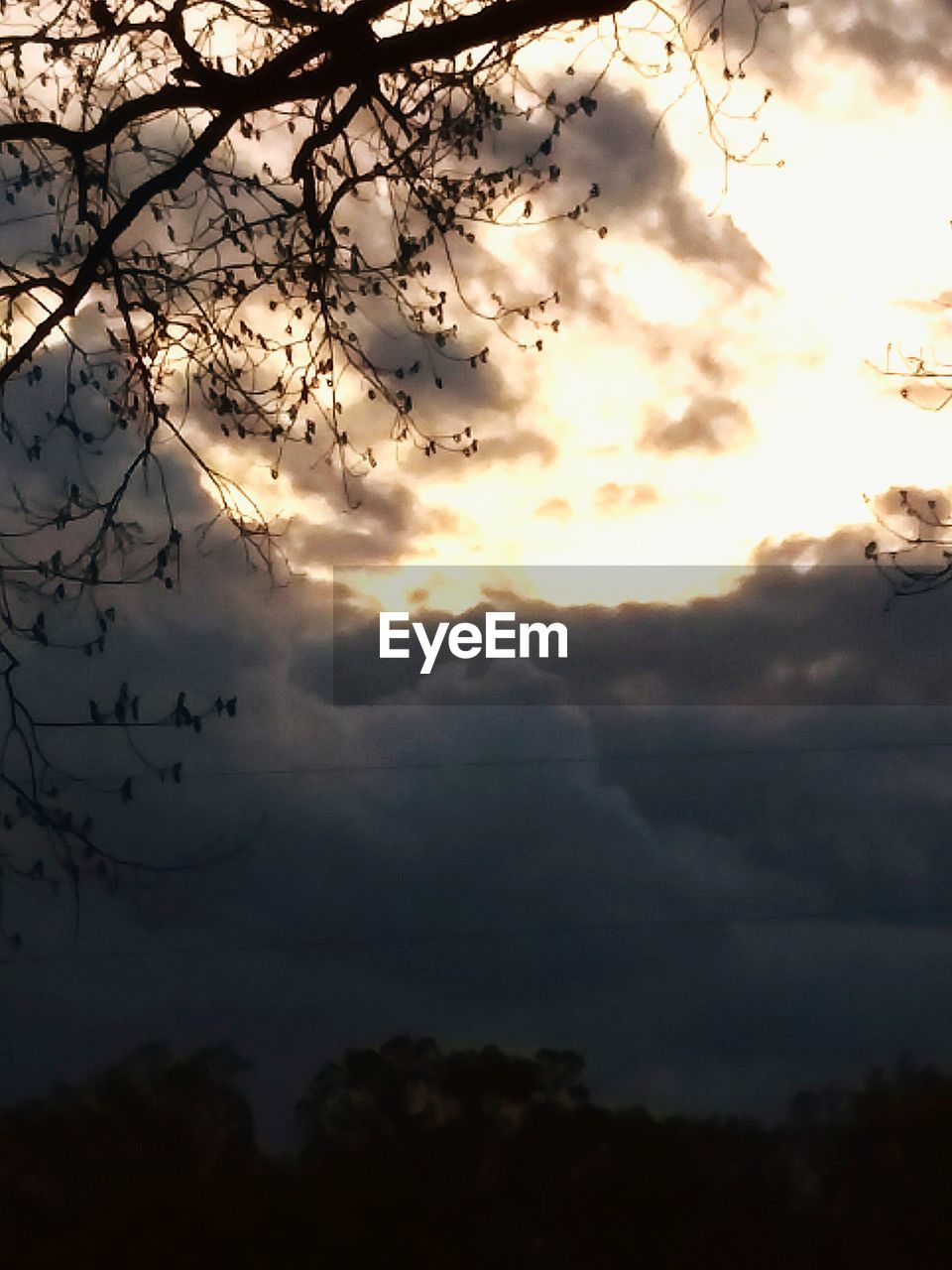 LOW ANGLE VIEW OF SILHOUETTE TREE AGAINST SKY