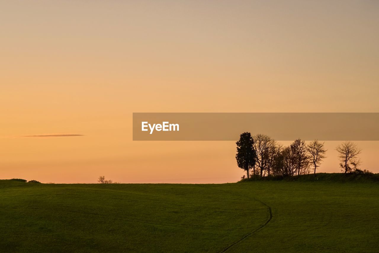 Trees on field against clear sky during sunset