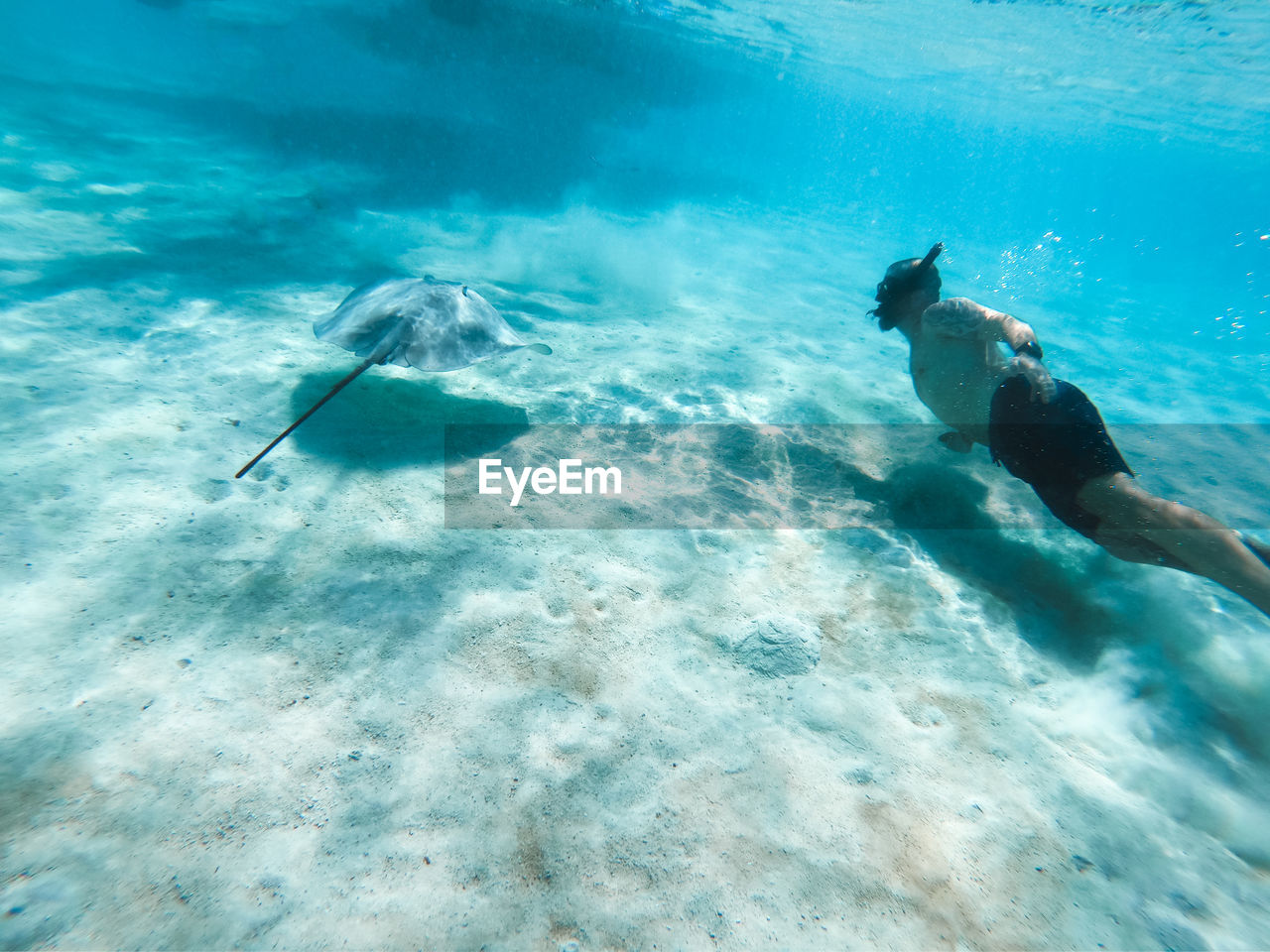 Man swimming by stingray in sea