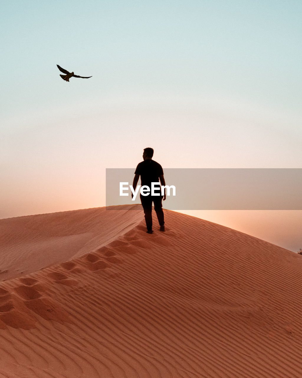 Full length of man standing on sand with bird flying in sky