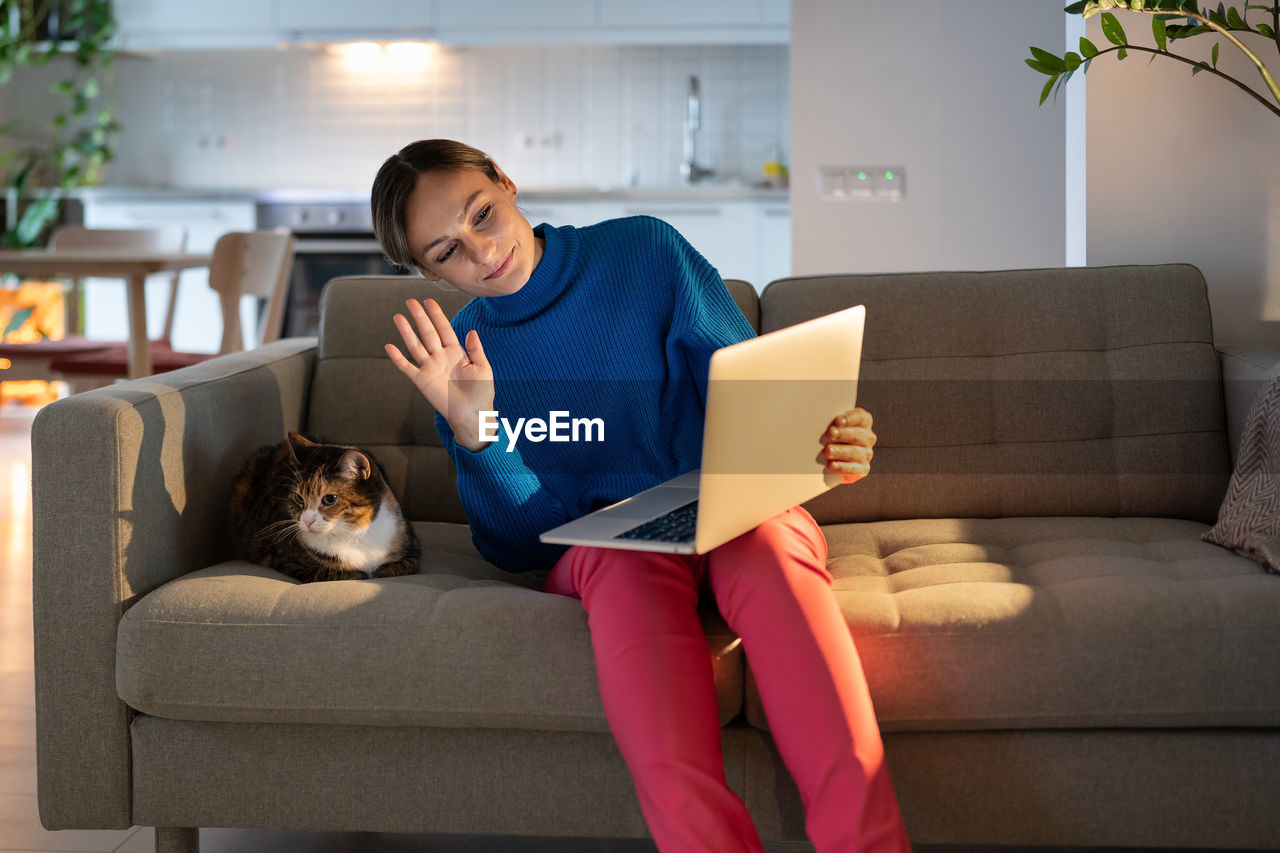 Young woman in blue sweater talks with friend via laptop videocall and shows domestic cat on sofa