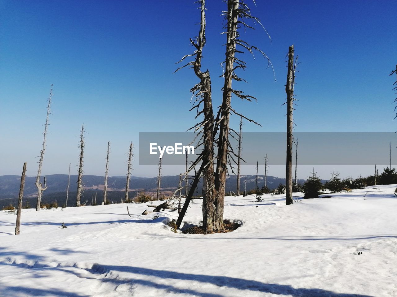 SNOW COVERED FIELD AGAINST SKY