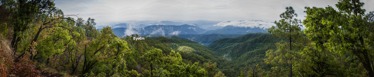 Panoramic view of trees and mountains against sky