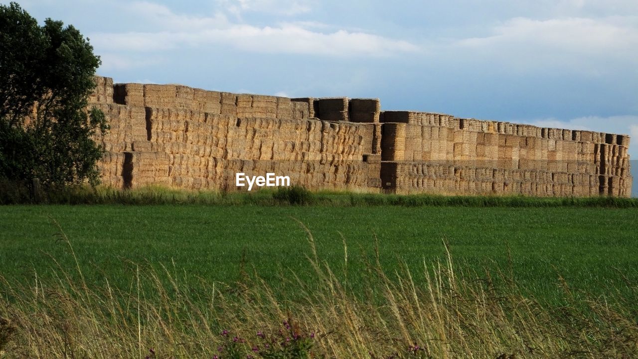 VIEW OF GRASSY FIELD AGAINST SKY