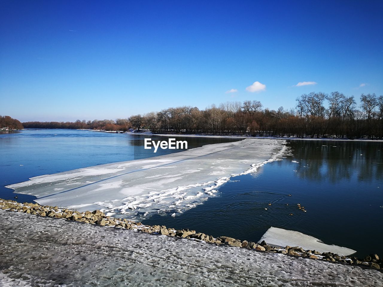 LAKE BY TREES AGAINST CLEAR BLUE SKY