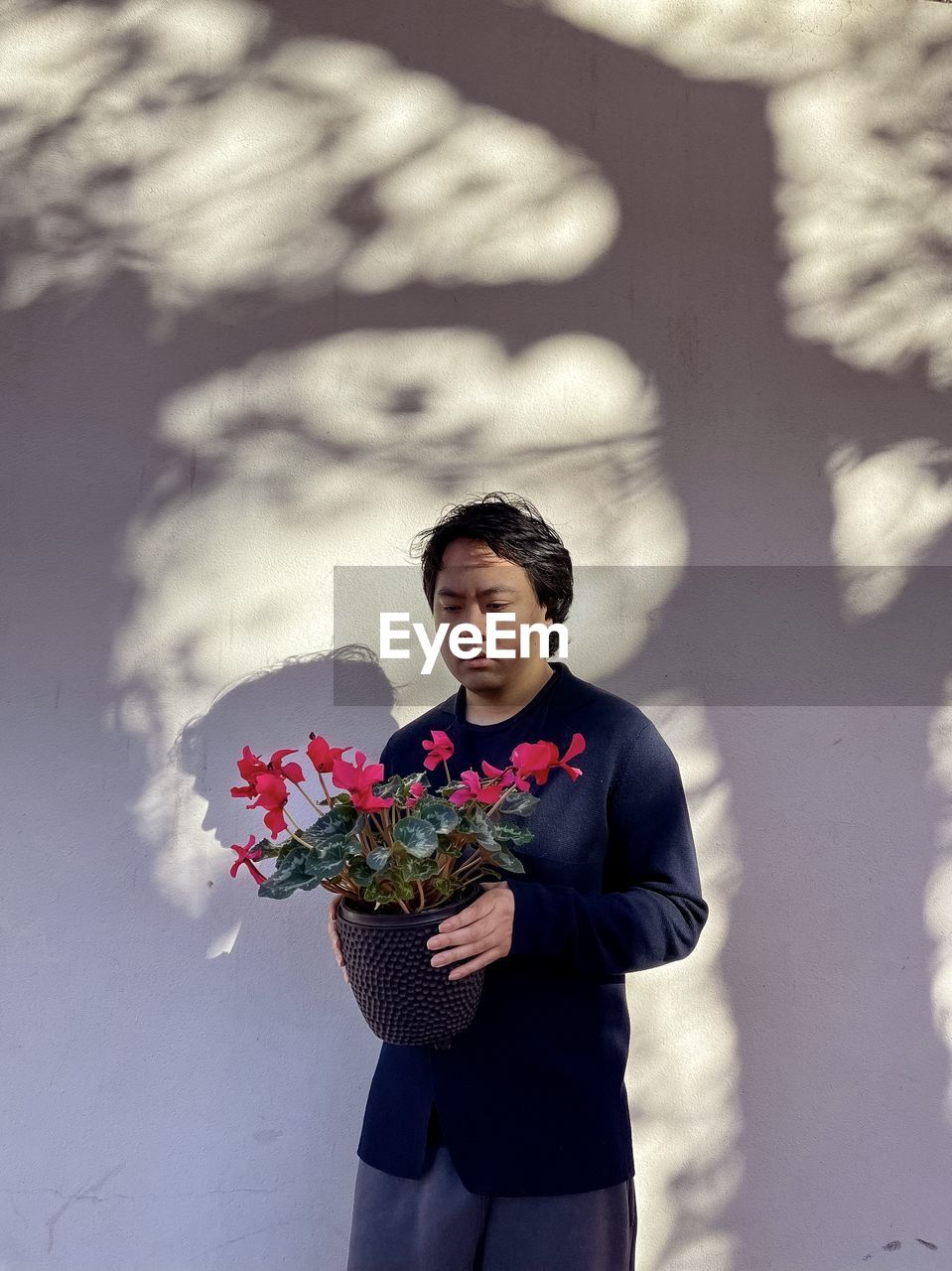 Portrait of young asian man holding red flowering cyclamen plant against shadow patterned wall.