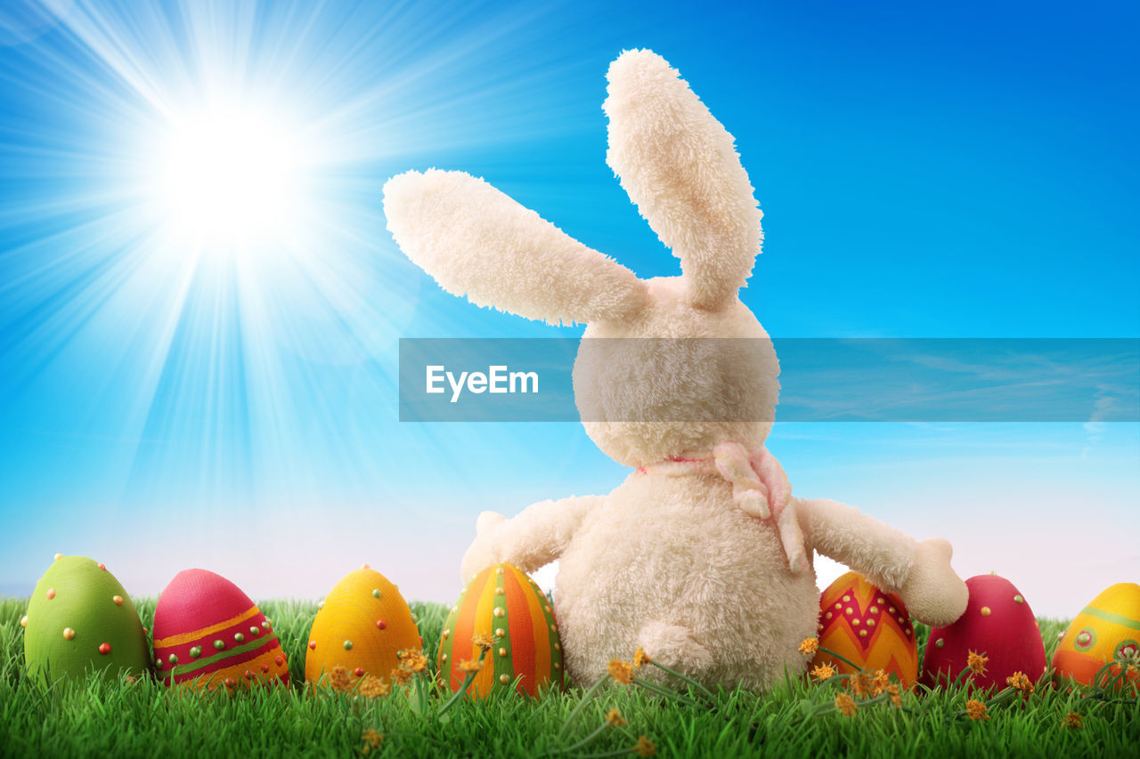 Stuffed toy and easter eggs on grass against blue sky