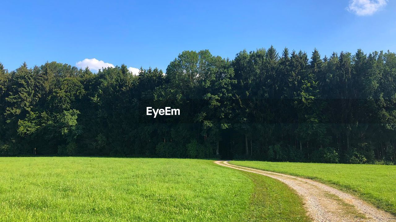 Scenic view of trees on field against sky