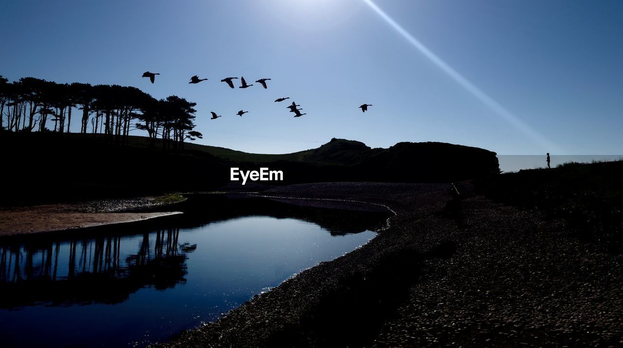 BIRDS FLYING OVER LAKE