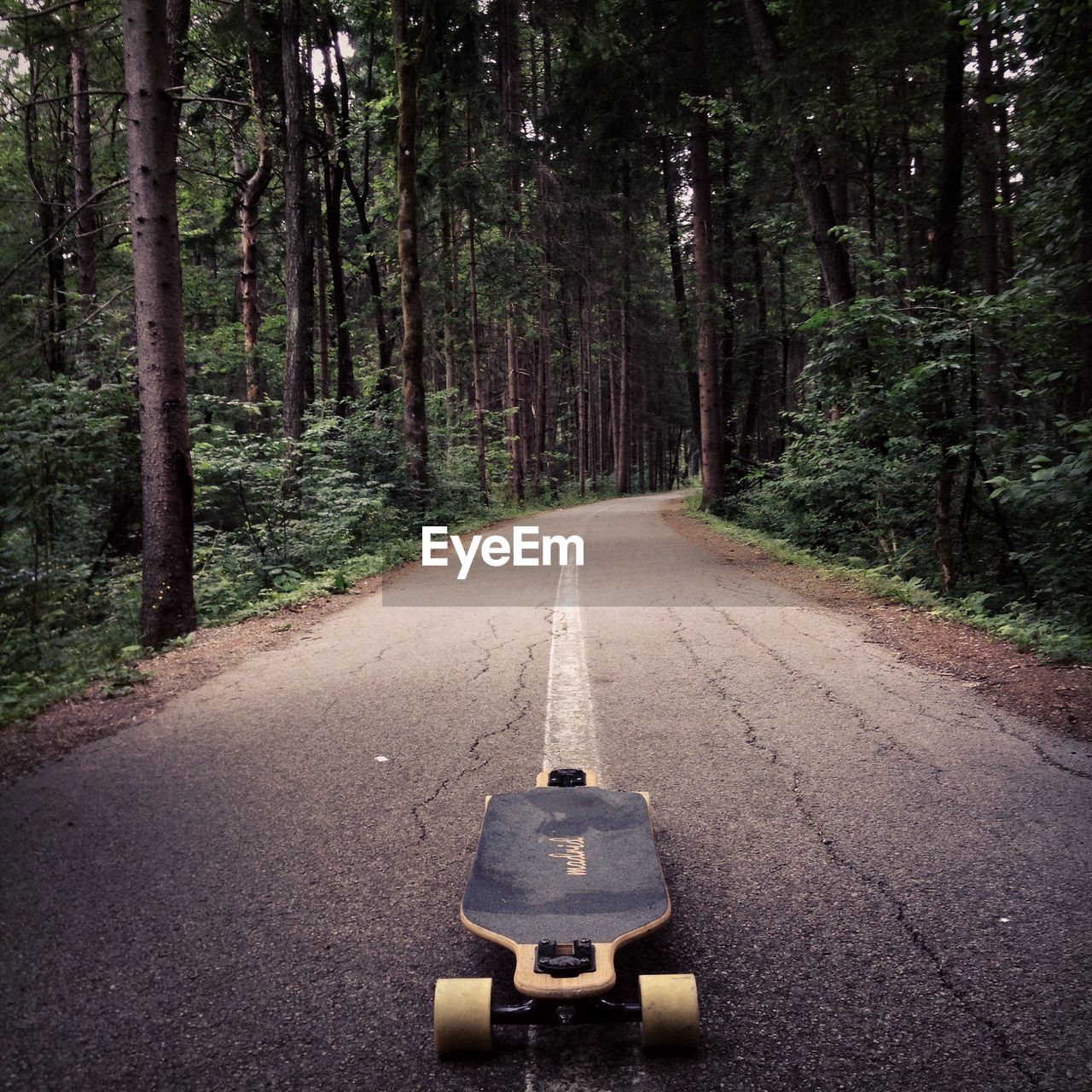 Skateboard on road amidst trees in forest