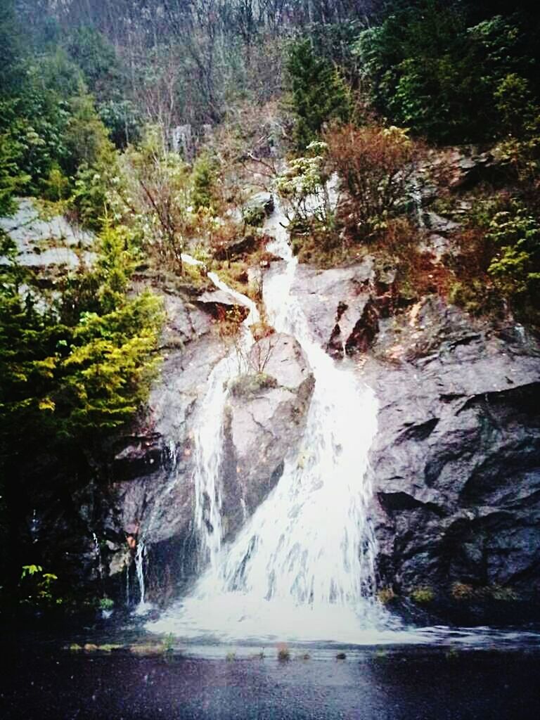 SCENIC VIEW OF RIVER FLOWING THROUGH ROCKS IN FOREST