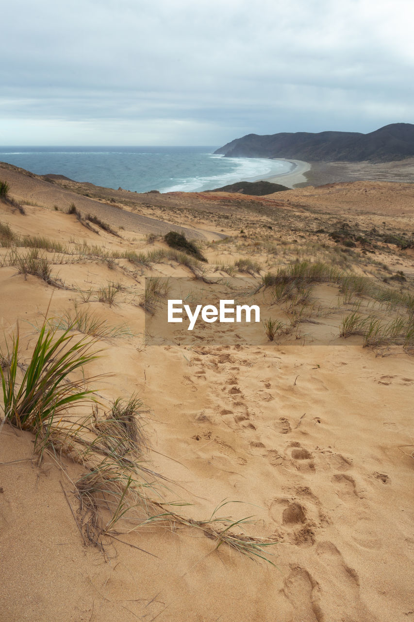 SCENIC VIEW OF SHORE AND SEA AGAINST SKY