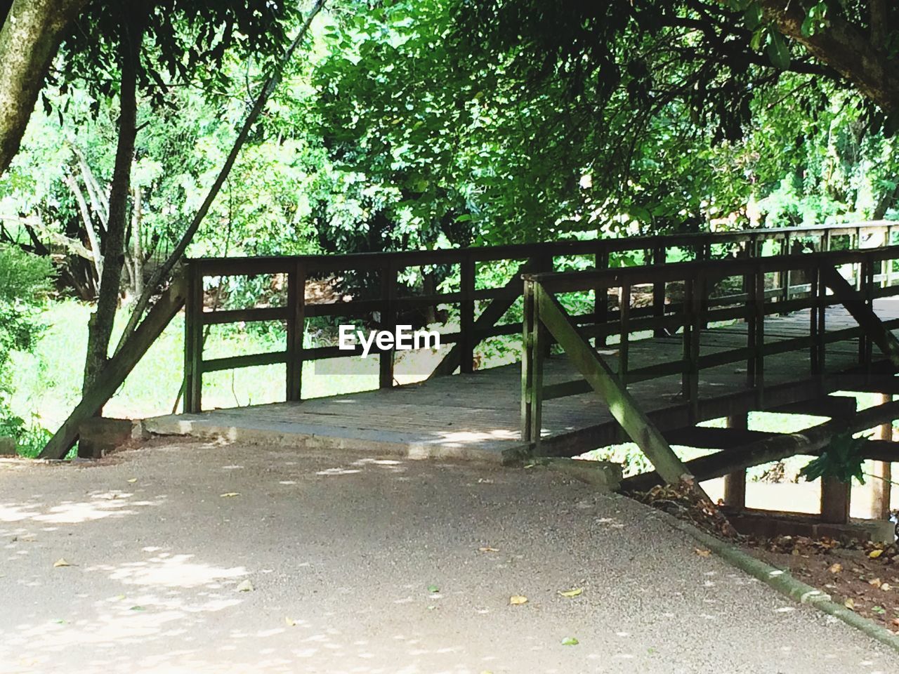 FOOTBRIDGE WITH TREES IN BACKGROUND