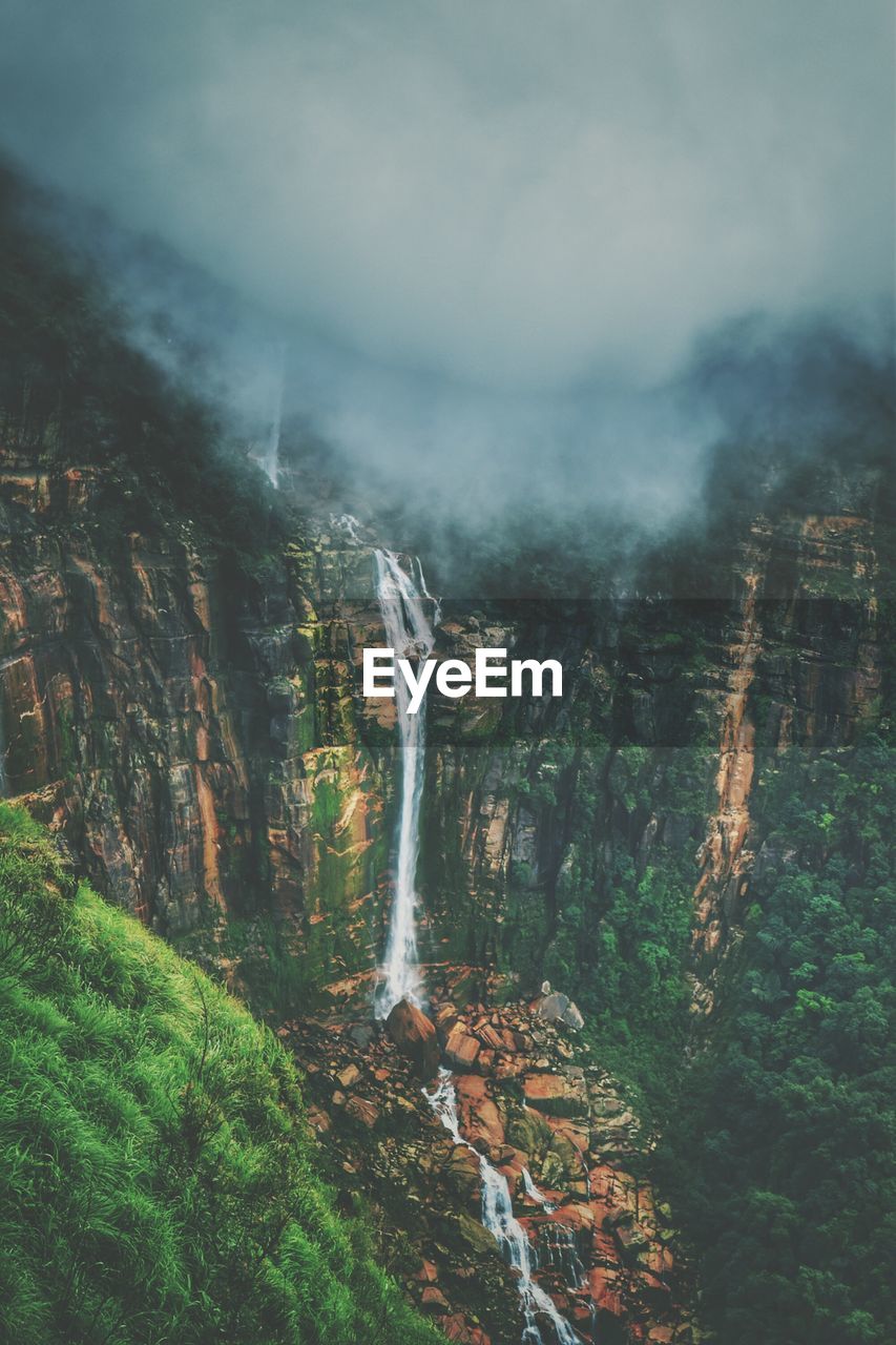 Scenic view of waterfall in forest