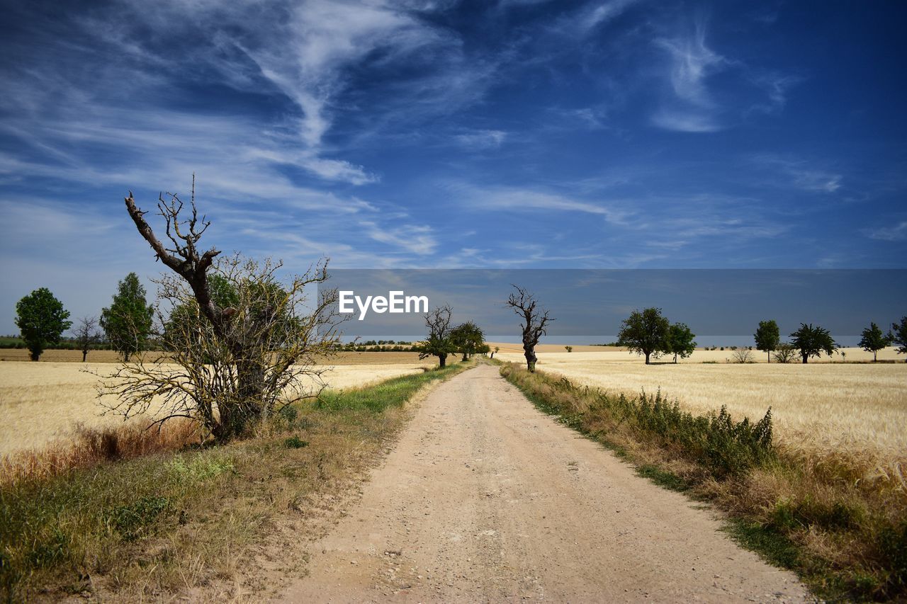 DIRT ROAD ALONG COUNTRYSIDE LANDSCAPE