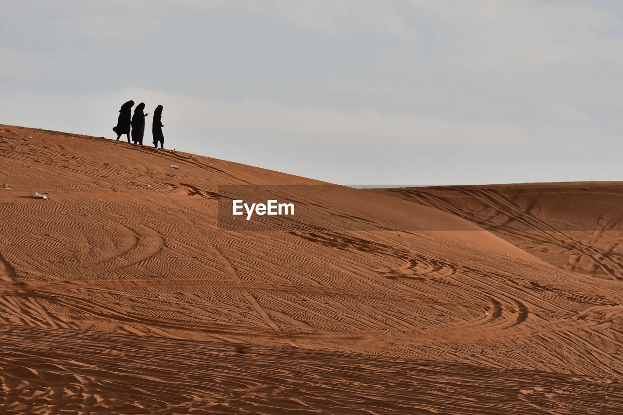 PANORAMIC VIEW OF DESERT