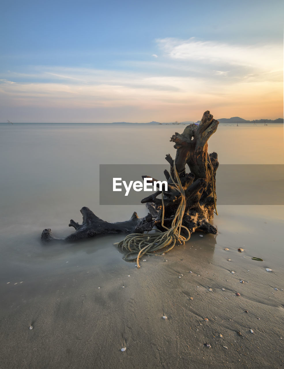 Driftwood on shore against cloudy sky during sunset