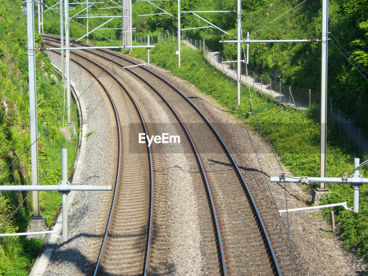 Railroad tracks by trees