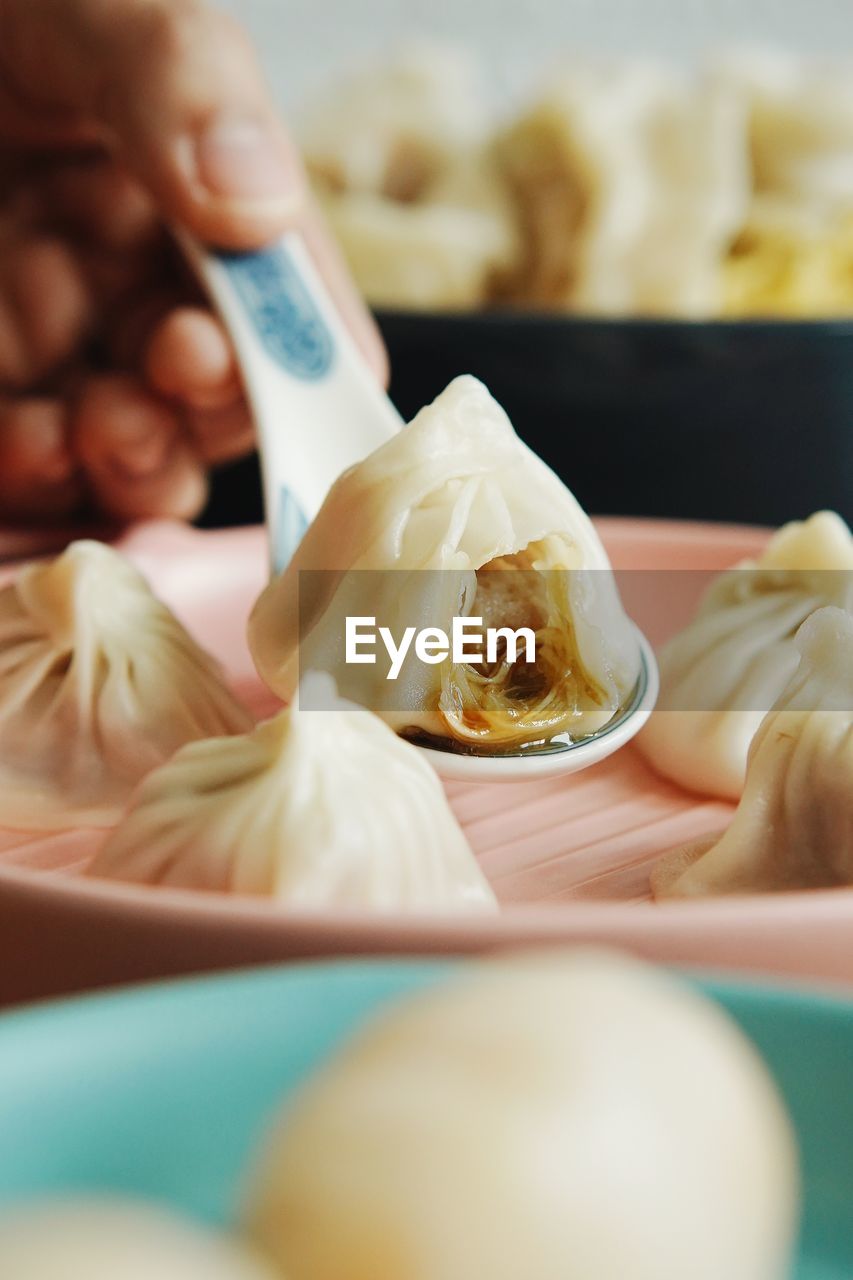 Close-up of dumpling in plate