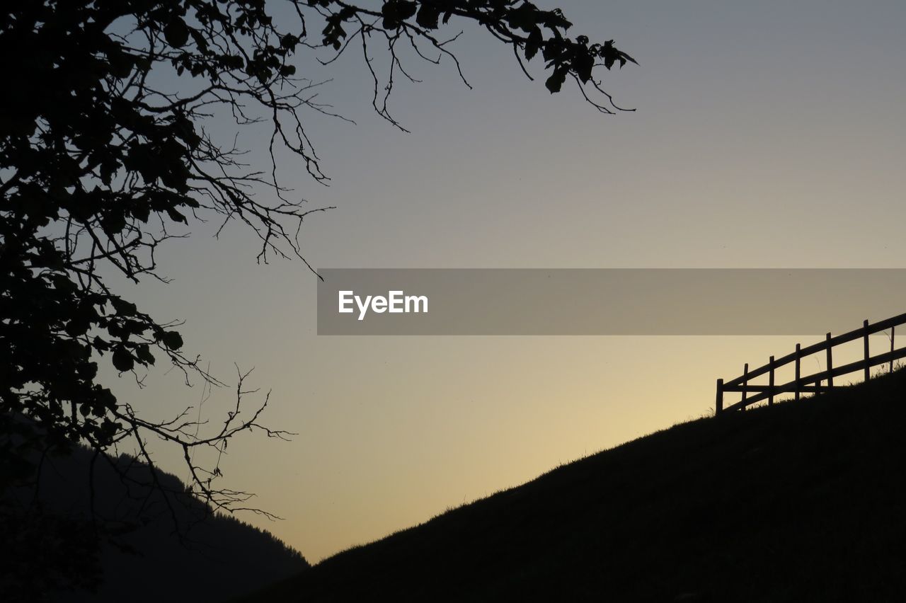 LOW ANGLE VIEW OF SILHOUETTE TREE AGAINST SKY