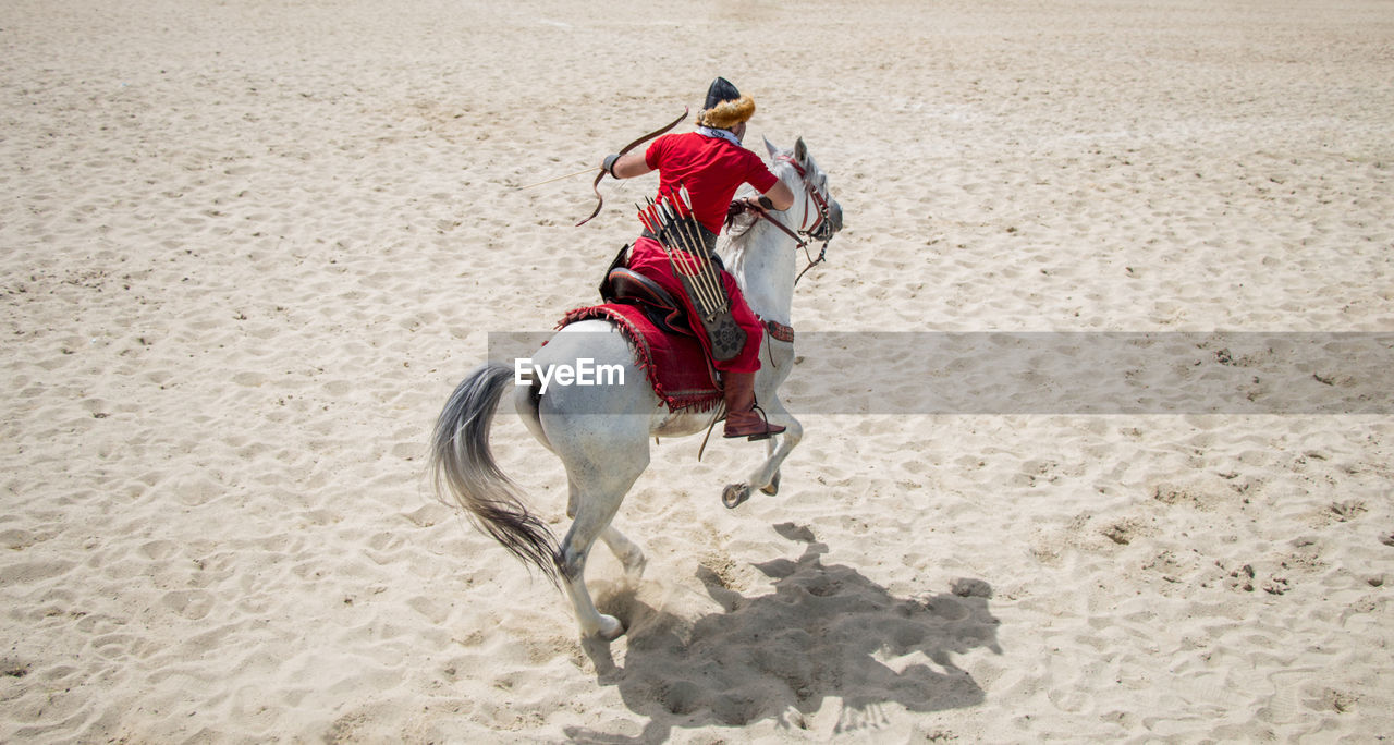 Rear view of man riding horse at beach