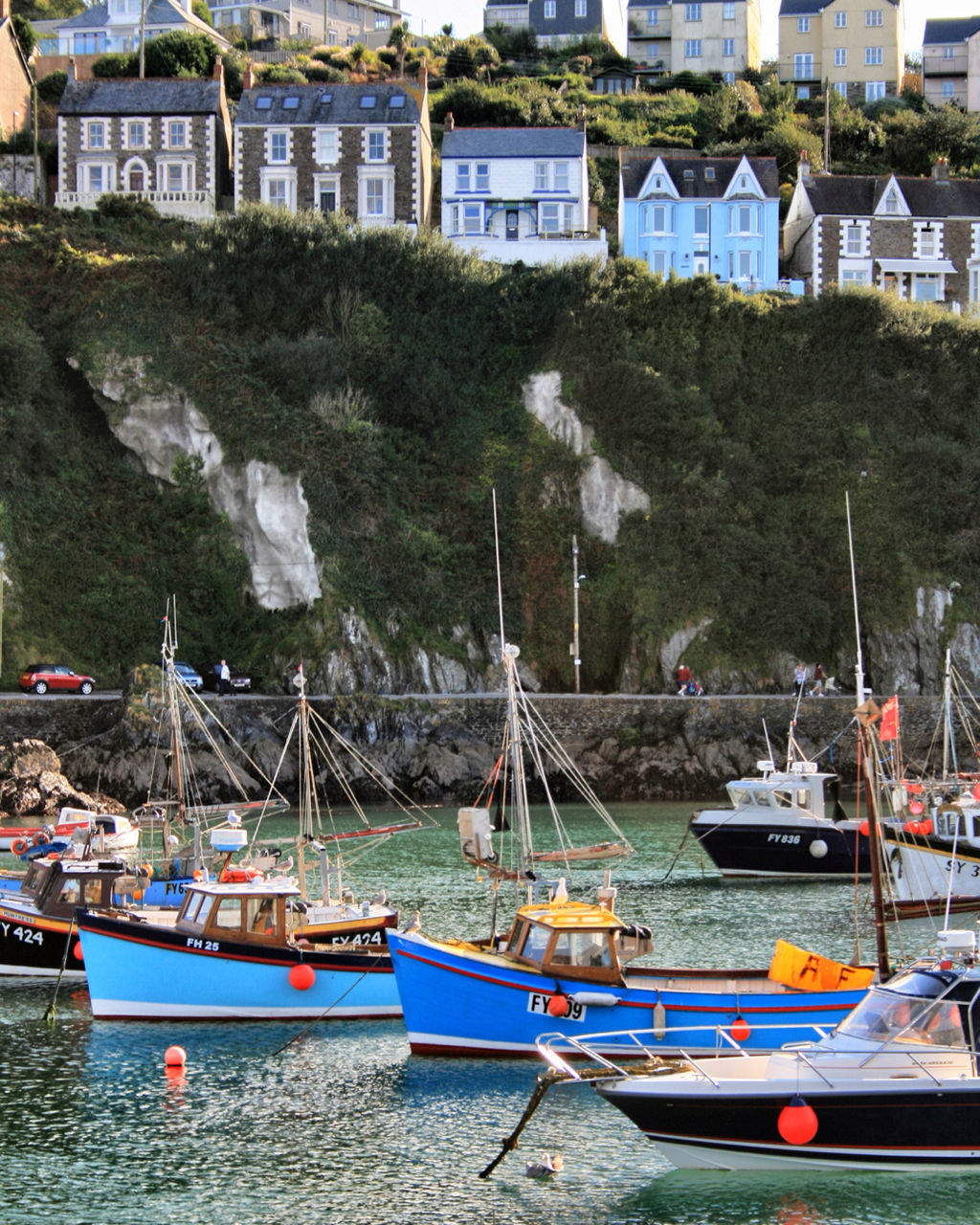 Fishing boats in harbor