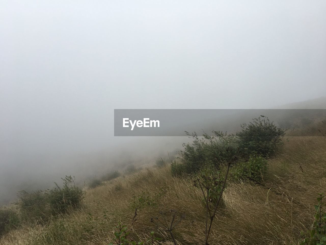 SCENIC VIEW OF LAND AGAINST SKY