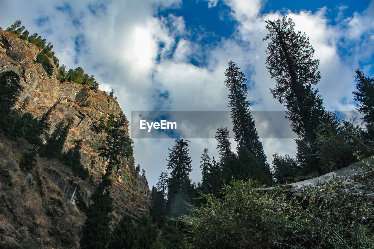 Magnificent view of the forest in the mountains, with beautiful white contrasty clouds in the sky