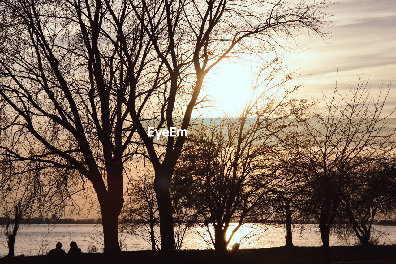 SILHOUETTE BARE TREES ON LANDSCAPE AGAINST SKY AT SUNSET